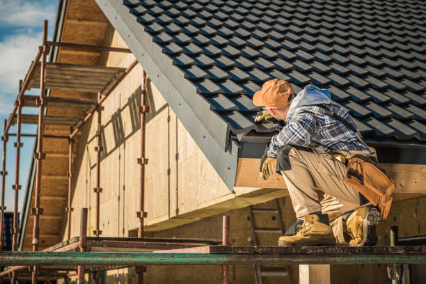 Best Metal Roofing Contractor  in Belton, MO